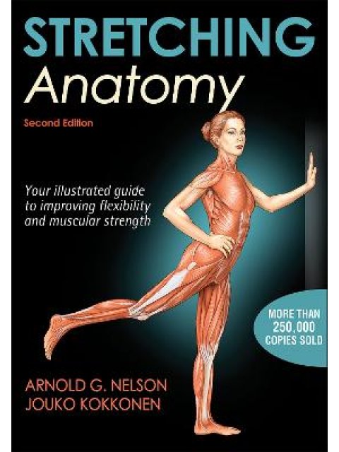 STRETCHING ANATOMY
