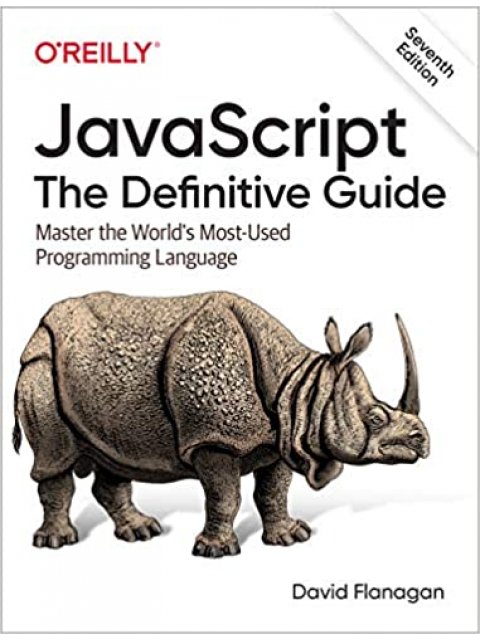 JAVASCRIPT THE DEFINITIVE GUIDE 7TH ED PB