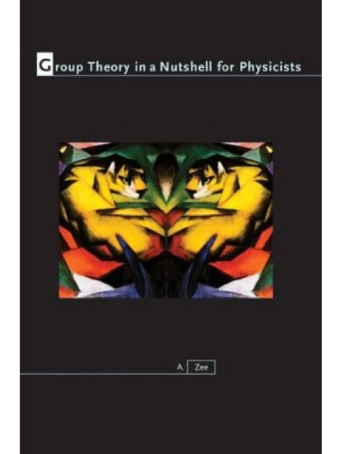 GROUP THEORY IN A NUTSHELL FOR PHYSICISTS HC