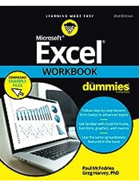 EXCEL WORKBOOK FOR DUMMIES PB