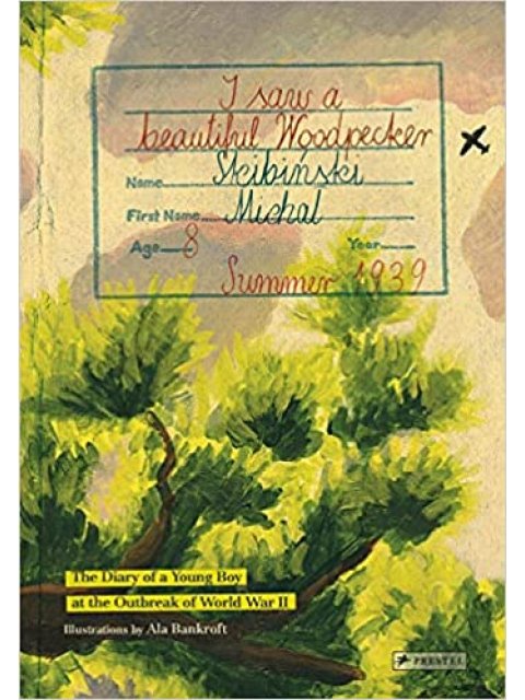 I Saw a Beautiful Woodpecker