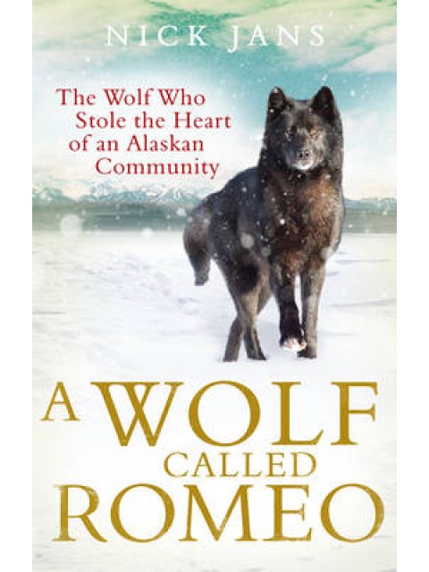 A WOLF CALLED ROMEO PB